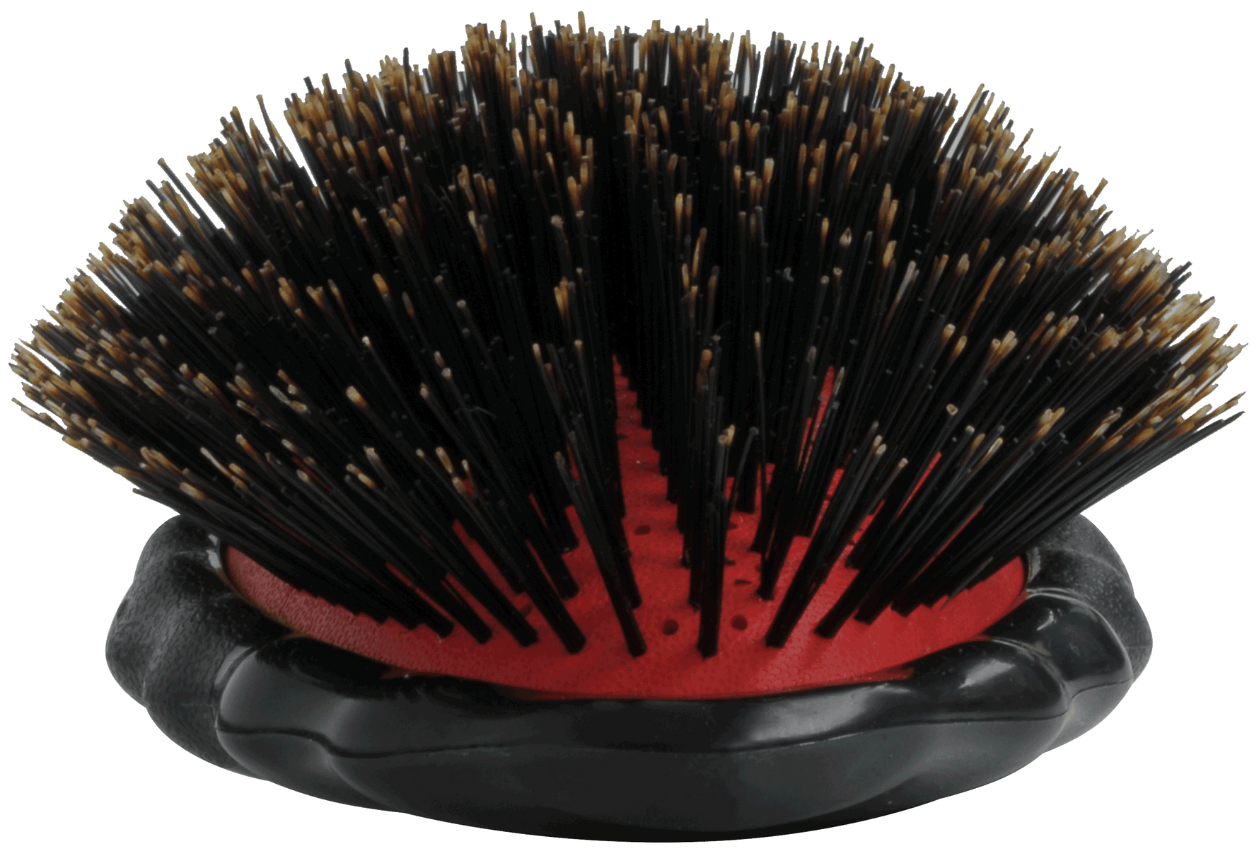 Brosse YS PARK Beetle Styler
