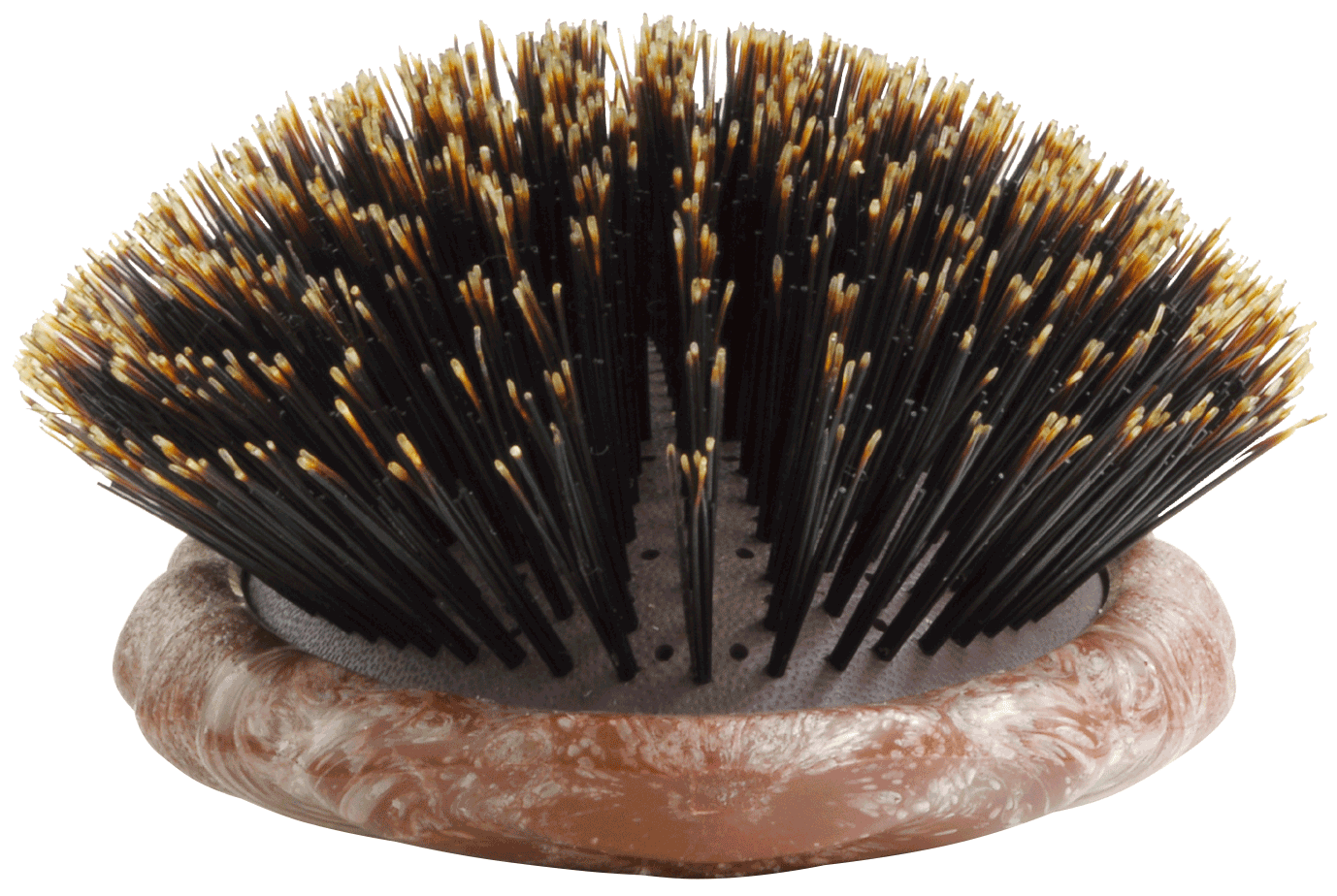Brosse YS PARK Beetle Styler