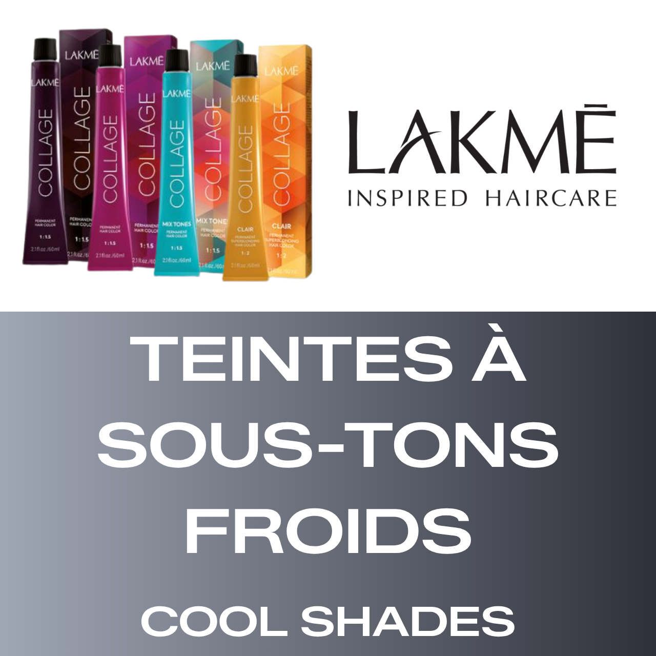 Lakmé Collage - Shades with Cool Undertones