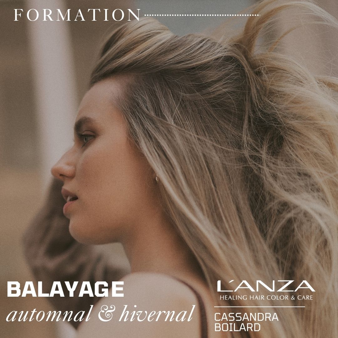 Formation Balayage Automnal & Hivernal