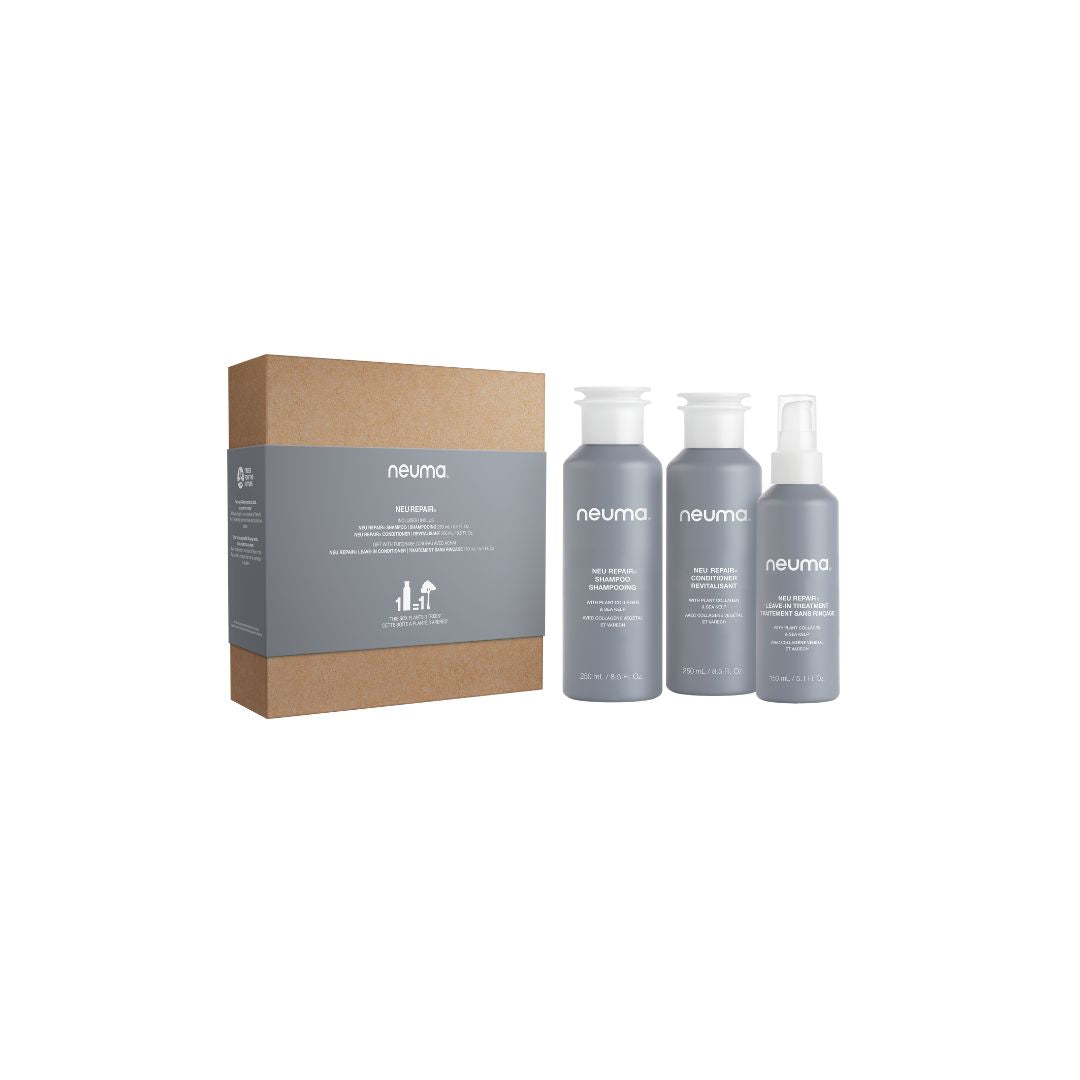 Coffret De Noël- Neu Repair